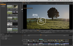 Video editing software showing a landscape of a tree in a field with a handwritten note saying 'Remove this cow'.