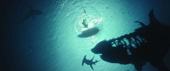 Silhouettes of several sharks swimming in deep blue water beneath bright sunlight filtering from the surface.