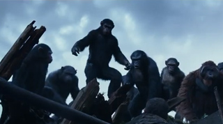 A group of chimpanzees standing together among broken wooden planks against a cloudy blue sky.