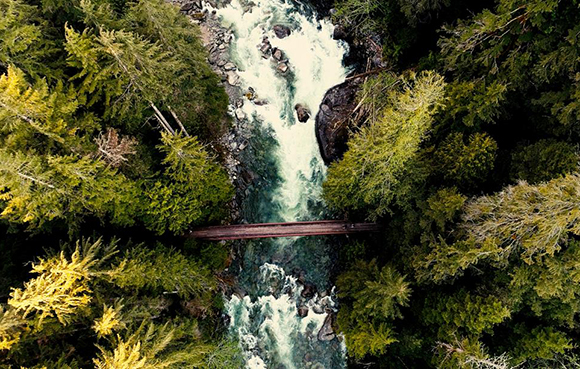 Aerial view of a rushing river flowing through a thick green forest with a small wooden bridge crossing it.
