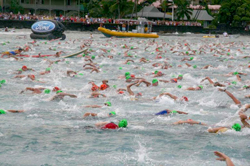 Many swimmers wearing colorful swim caps compete in a large body of water near a shoreline.