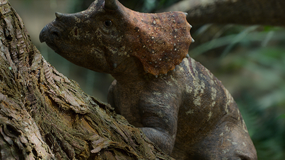 A brown triceratops model with a large frill leaning against a textured tree trunk in a forest setting.