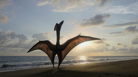Silhouette of a large pterosaur with outstretched wings standing on a sandy beach facing the ocean at sunset.