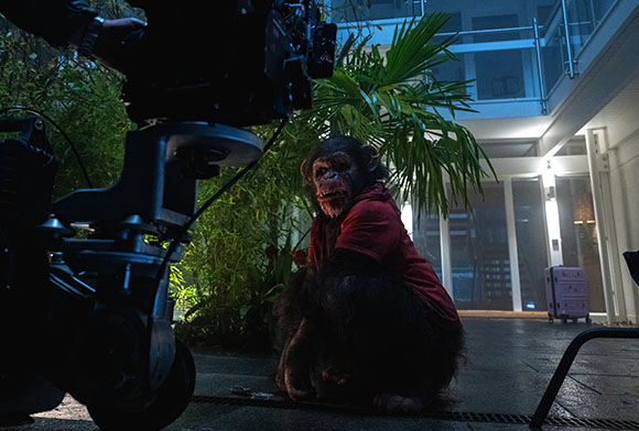 A chimpanzee wearing a red shirt sits on a stone patio in front of a camera rig at night.