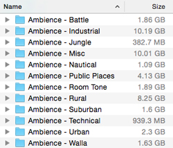 A file directory list showing folders named Ambience with various categories and their corresponding file sizes.