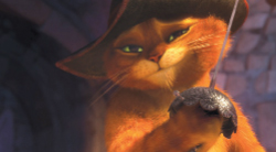 An orange tabby cat wearing a wide-brimmed hat and holding a small sword.