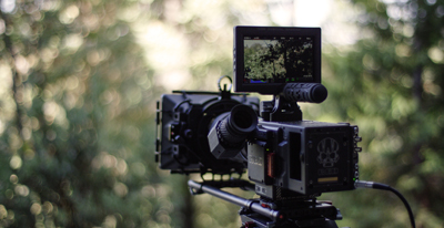 A professional cinema camera with a monitor and matte box set against a blurred forest background.