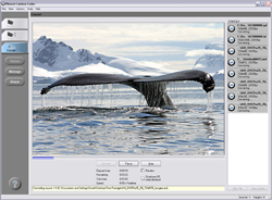 Software interface showing a whale tail emerging from blue water against a snowy mountain backdrop.