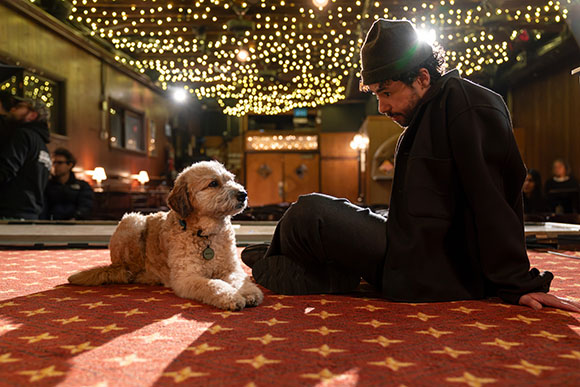 A man in a dark jacket and hat sits on a red patterned rug next to a small, fluffy tan dog.
