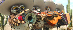 Four owls in sombreros playing a trumpet, violin, and guitar in a desert setting.