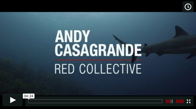 Text reading 'ANDY CASAGRANDE RED COLLECTIVE' over an underwater scene with a shark.