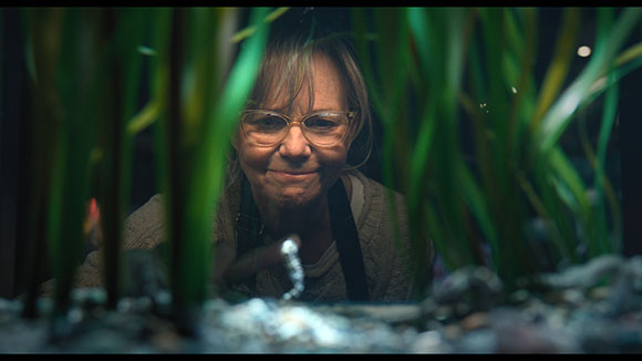 A smiling woman with glasses looking through green blades of grass.