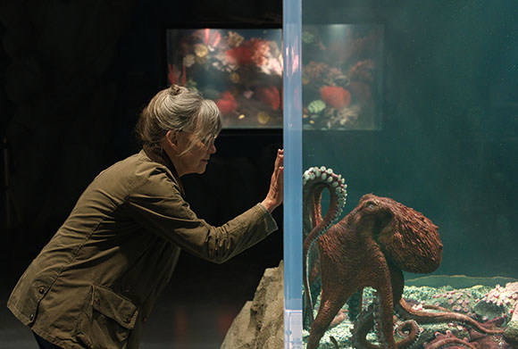 A woman leans forward to look through a glass tank at a large reddish-brown octopus.
