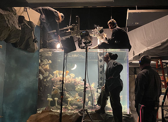 Film crew using cameras and lights to film inside a large, illuminated coral reef aquarium tank.