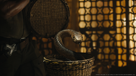 A large snake curves its neck out of a small woven basket held by a person.