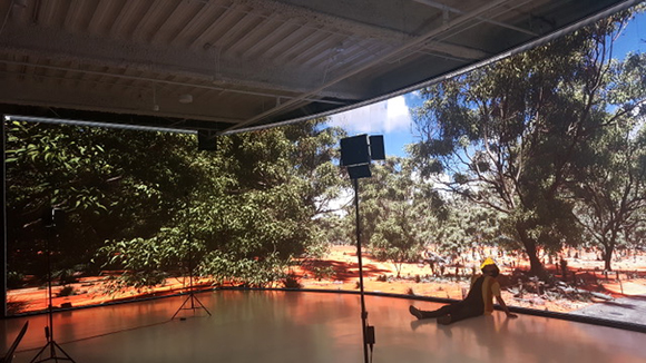 A person sits on a studio floor before a massive screen showing a sunlit forest scene.