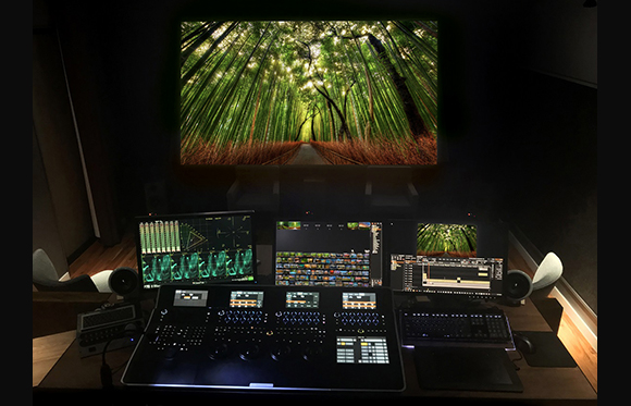 A dark video editing studio featuring multiple monitors, a control surface, and a large screen showing a forest.