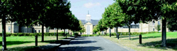 A paved walkway lined with green trees leading toward a large building with a central tower.