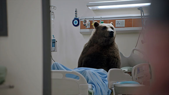 A large brown bear sits upright in a hospital bed in a clinical room.