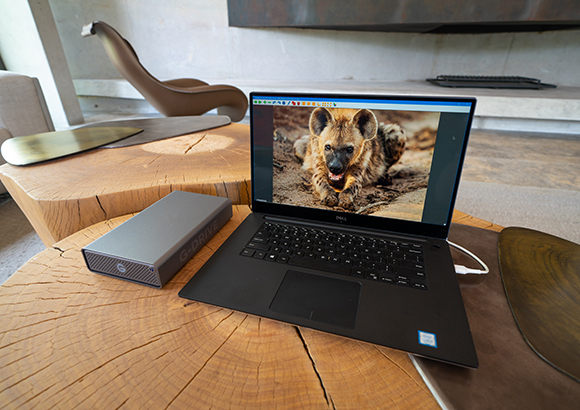 A black laptop showing a hyena on screen next to a grey G-DRIVE external hard drive on a wooden table.