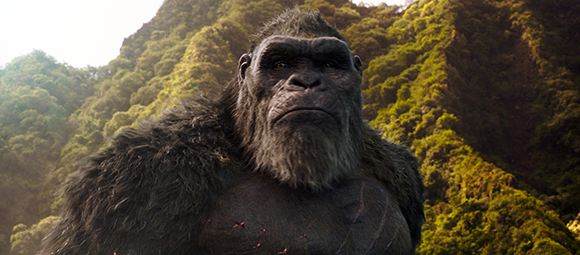 A large, dark-furred gorilla looks forward with a serious expression against green, forested mountains.