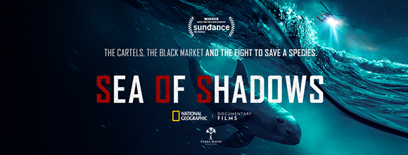 Movie poster for Sea of Shadows featuring a shark silhouette under a large ocean wave.