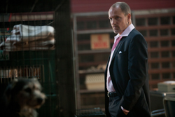 A man in a dark suit and pink shirt looks sideways in a kennel or shelter setting.