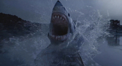 A large shark breaches the surface of the water with its jaws wide open, creating a large splash.