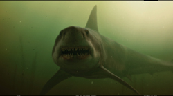 A large shark with sharp teeth swims through murky, green underwater light.