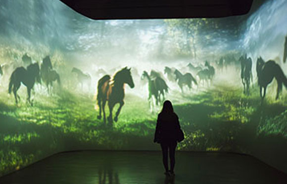 A person silhouettes against a large immersive projection of horses running through a misty green field.