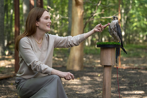 A woman in a beige sweater reaches her hand toward a falcon perched on a wooden stand in a forest.