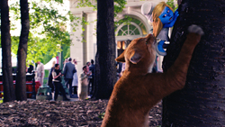 An orange cat climbs a tree, looking up at a small blue animated character on the bark.