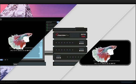 A laptop, server rack, and smartphone all displaying a colorful betta fish on a black background.