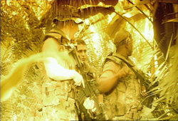 Three soldiers in camouflage gear navigate through thick jungle vegetation.