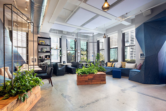 A bright, modern lounge with blue geometric seating, wooden planters, and large windows overlooking city buildings.