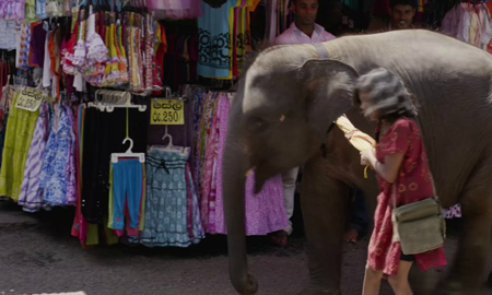 A large elephant walks past a street vendor's stall filled with colorful hanging clothes.