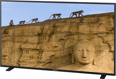 A Sony television screen showing monkeys walking along a ridge above a large stone Buddha carving.