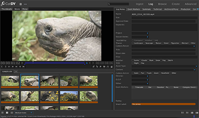 Software interface displaying a video player with a turtle and a metadata sidebar.