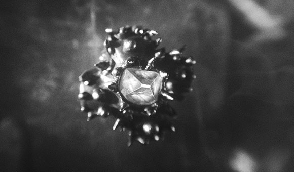 Black and white close-up of a dark, spiked object with a reflective, faceted center.