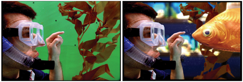 A person in a diving mask looks toward a large orange fish in an aquarium setting.
