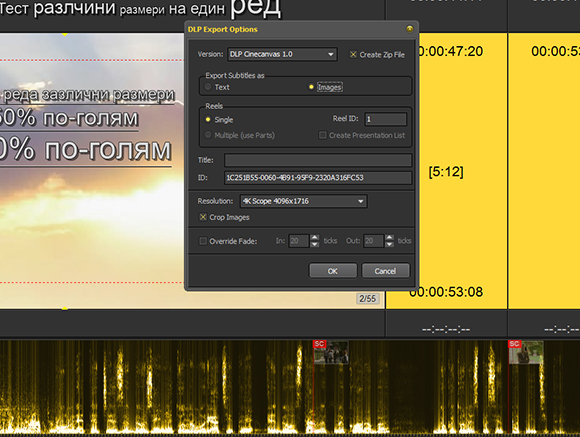 A video editing software interface showing a DLP Export Options pop-up window over a timeline.