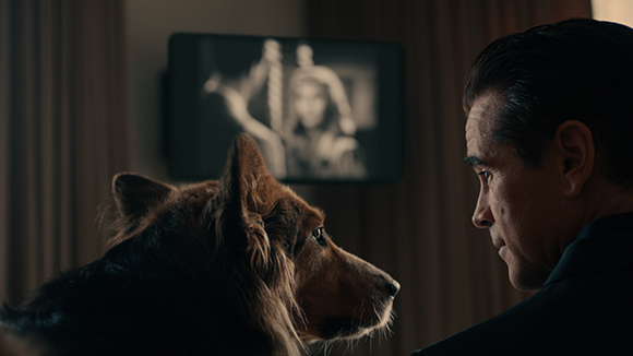 A man in profile looks intensely at a large dog in a dimly lit room.