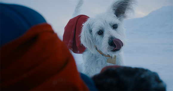 A small white dog in a red hoodie licks its nose in a snowy, mountainous landscape.