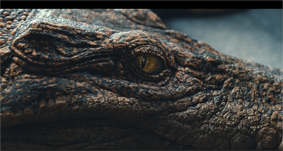 Extreme close-up of a crocodile's eye and its rough, scaly skin.