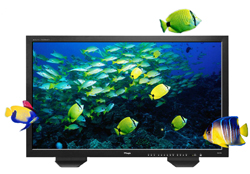 A black computer monitor displaying a school of yellow and blue tropical fish swimming in blue ocean water.