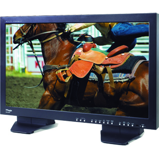 A black flat-screen television displaying a close-up image of a brown horse with a saddle.