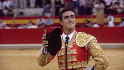 A bullfighter in a gold and red suit holds a black hat and a single red rose.