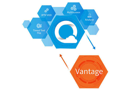 A blue hexagonal diagram showing IPTV VOD, Multiscreen, Analyze, and Timed Text Flip connected to a central icon.