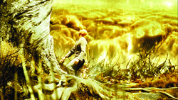 A person sits near the base of a large, textured tree in a bright, golden-hued landscape.