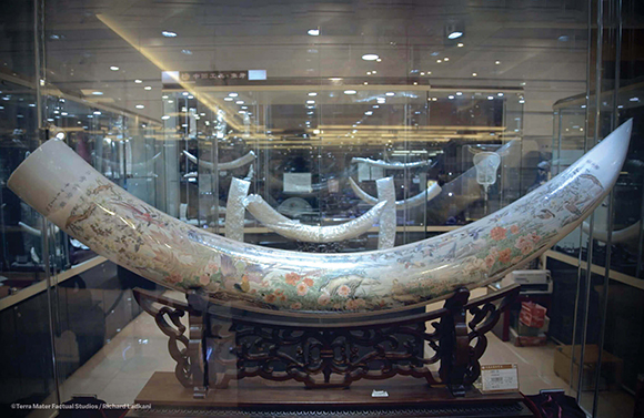 A large, curved porcelain vessel with colorful floral patterns resting on a dark wooden stand in a glass case.